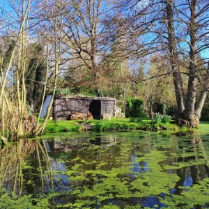 À force de rendre visite à @ffederbe et @nono_in_countryside, ce compte sera bientôt soumis au lobby du Loiret (après celui des Ardennes).#france #landscape